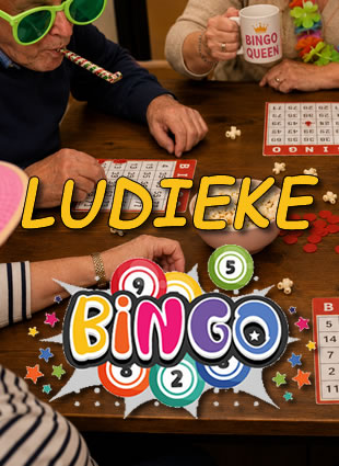 Ludieke Bingo